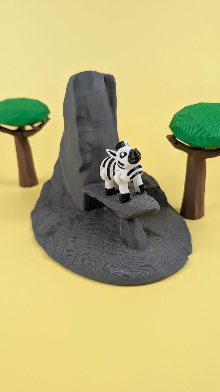 Zebra