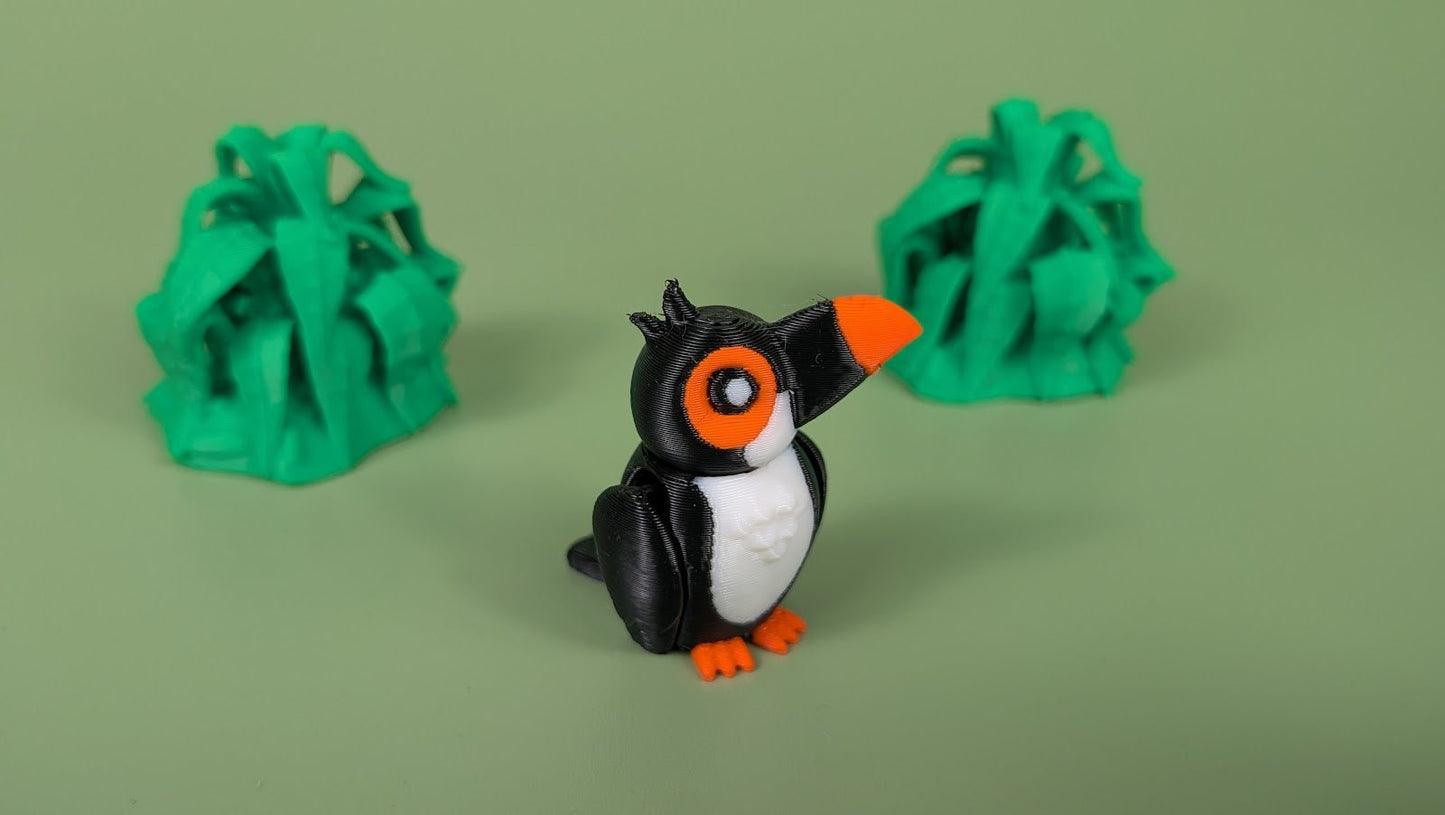 Toucan