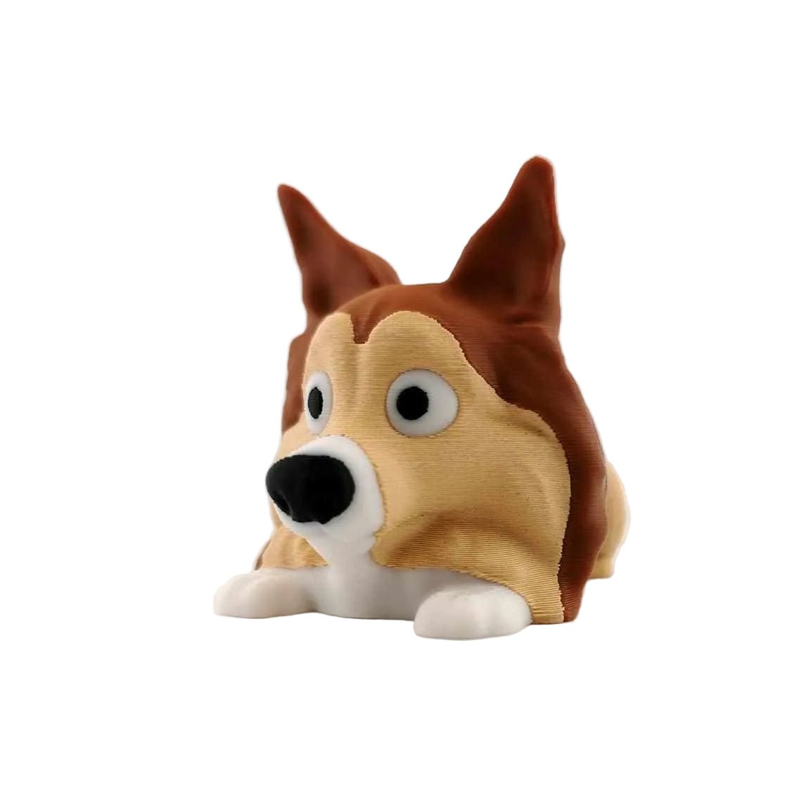 Sheltie Dog