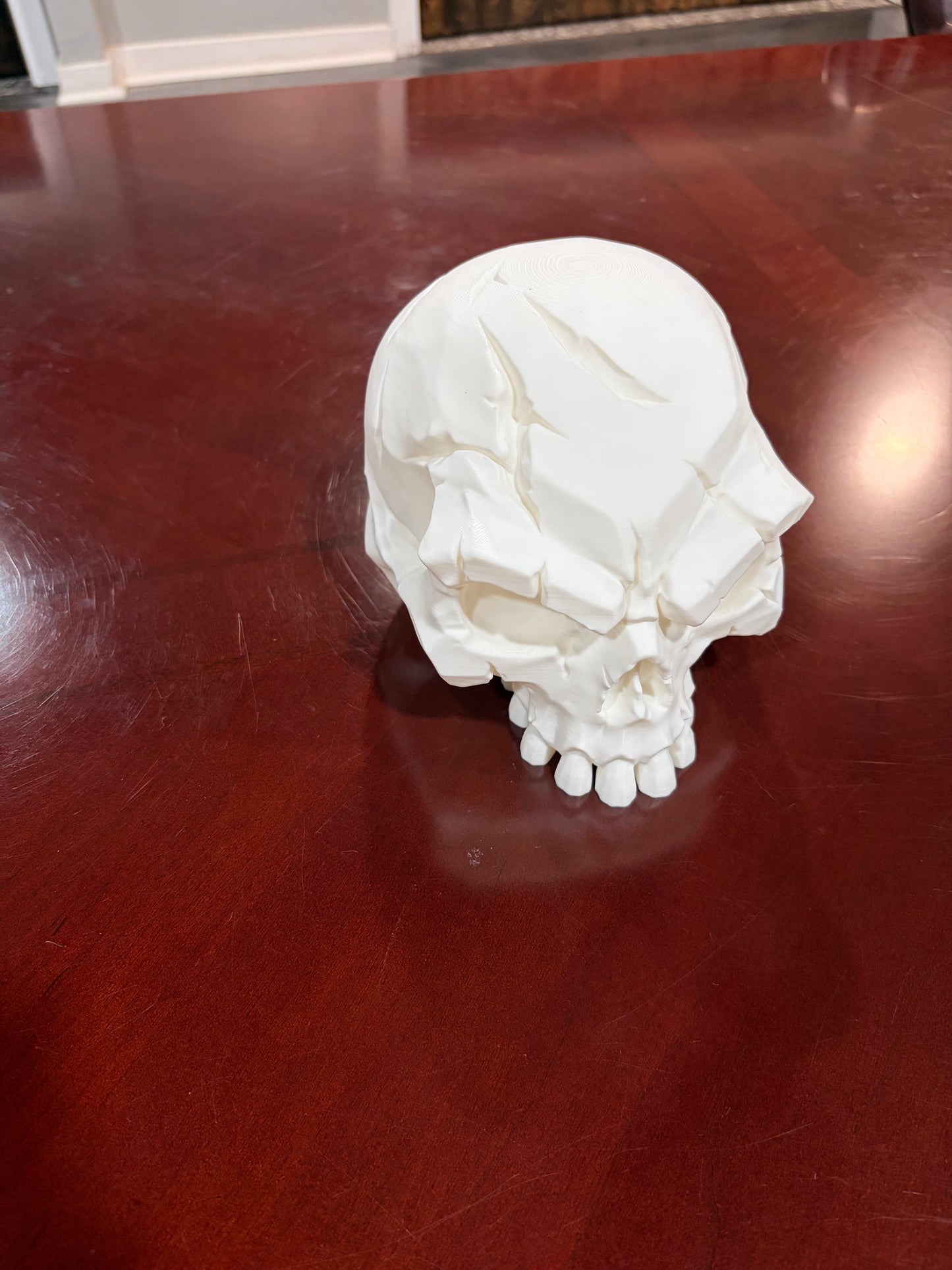 Battle Scar Skull 3D