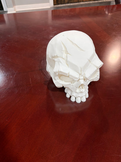 Battle Scar Skull 3D