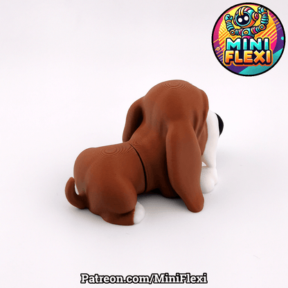 Basset Hound