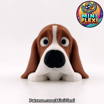 Basset Hound