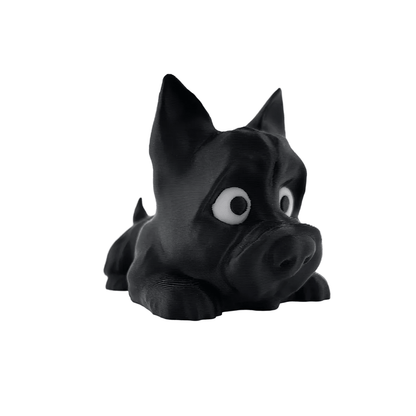 Cairn Terrier