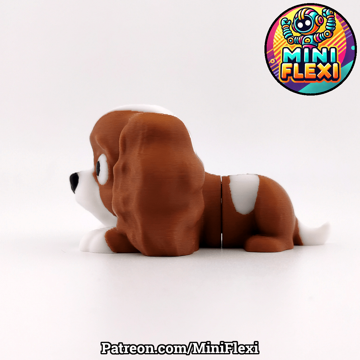 Cavalier King Charles Spaniel