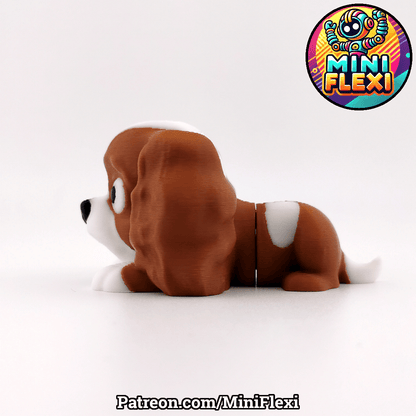Cavalier King Charles Spaniel
