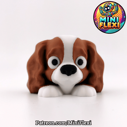Cavalier King Charles Spaniel