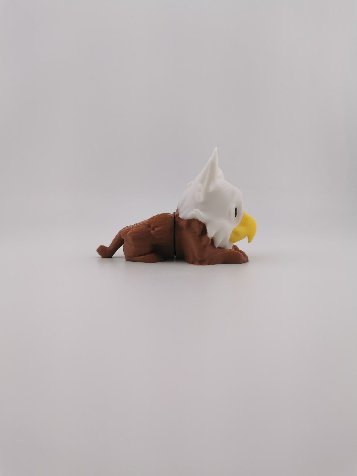 Griffin