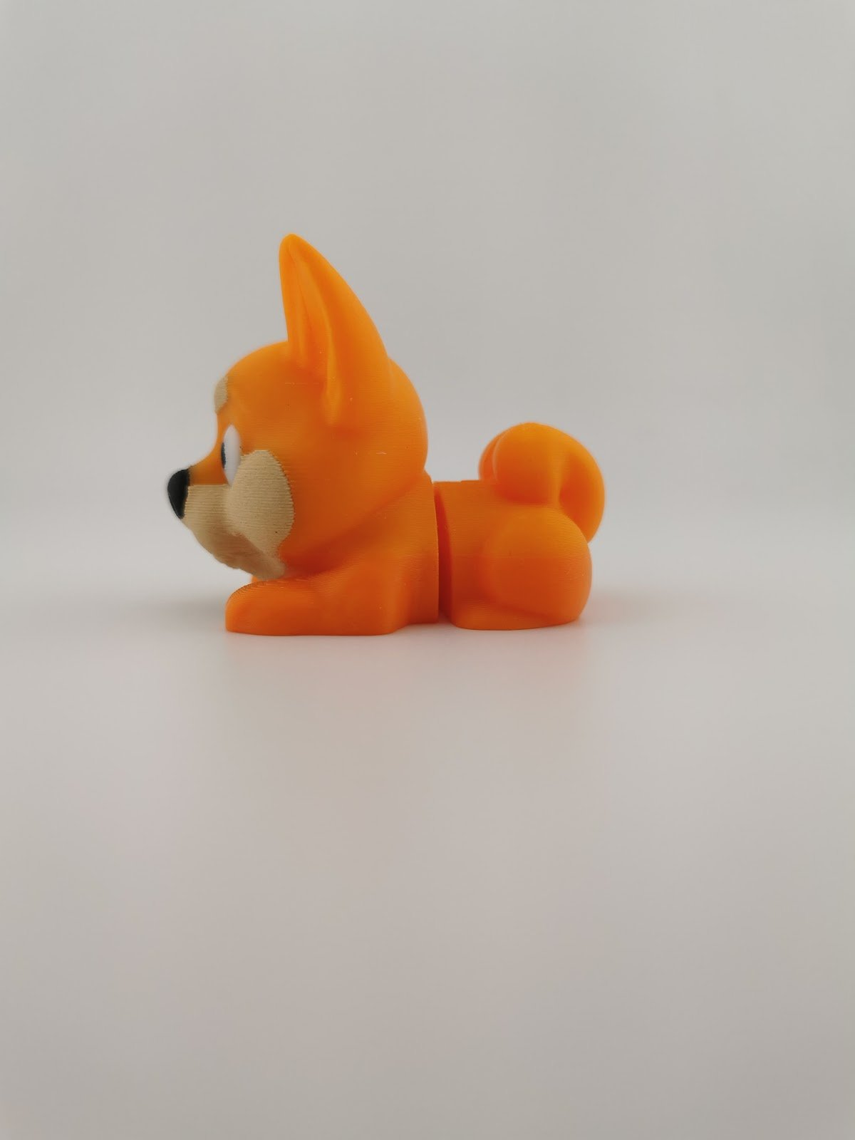 Flexi Dog