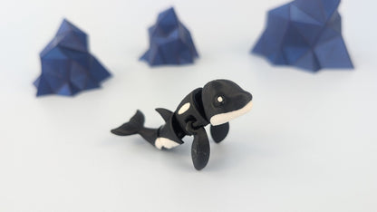 Orca Whale
