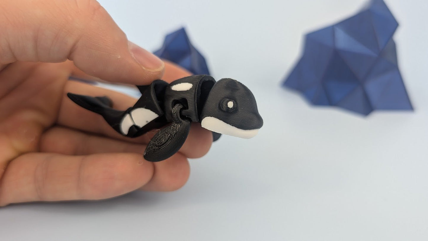 Orca Whale