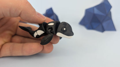 Orca Whale