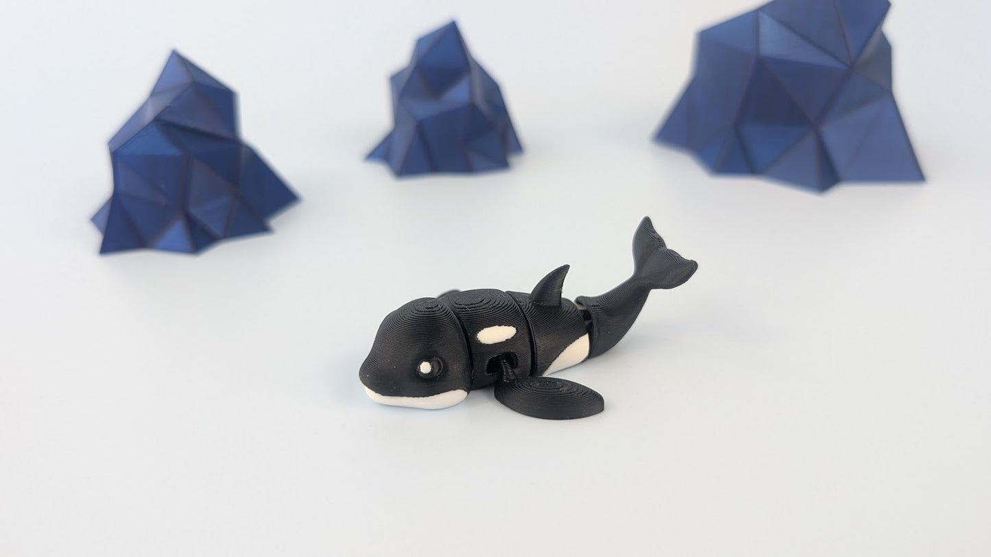 Orca Whale