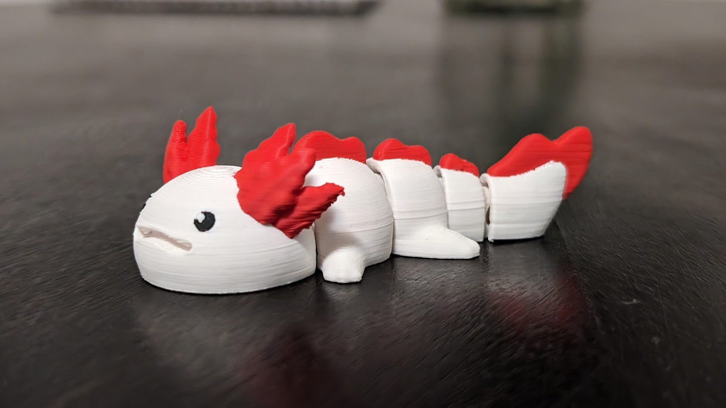 Axolotl