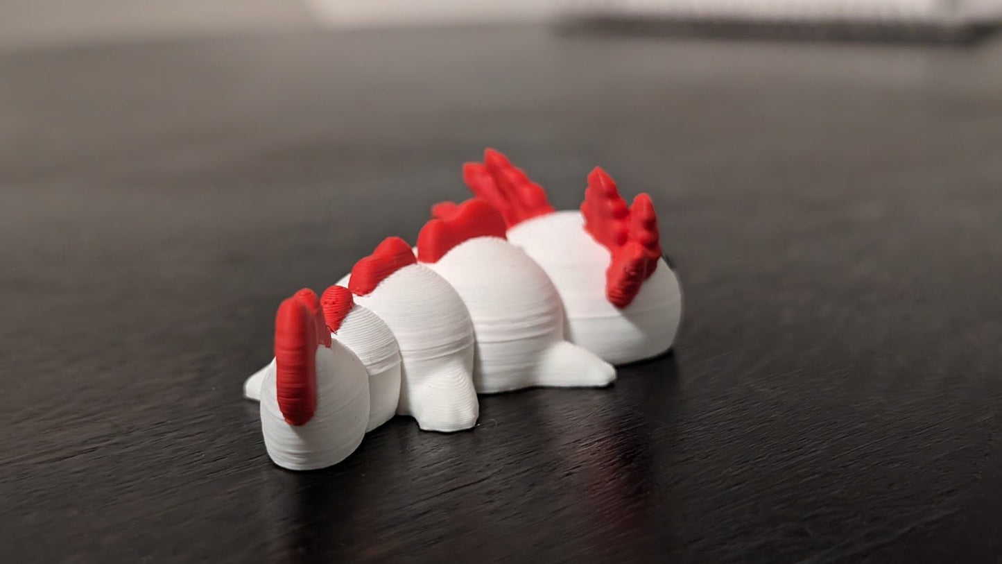 Axolotl