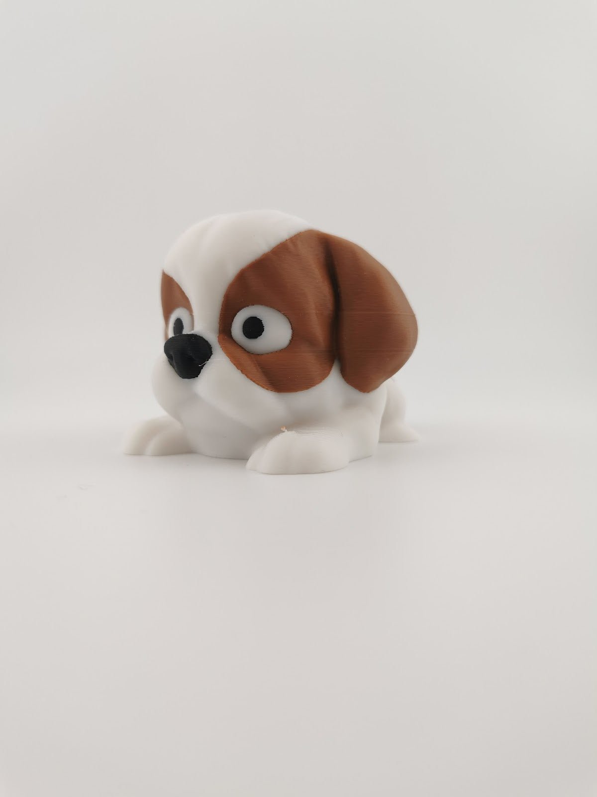 Dog - Shih Tzu