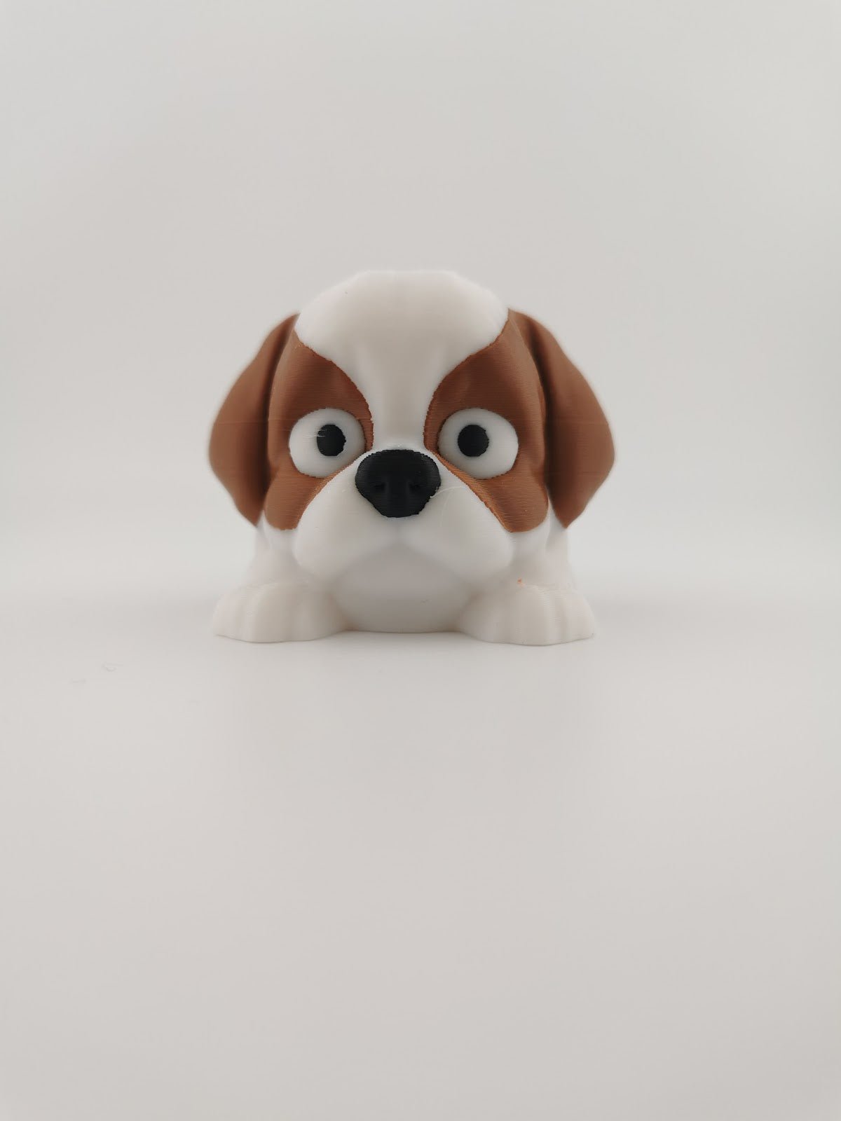 Dog - Shih Tzu
