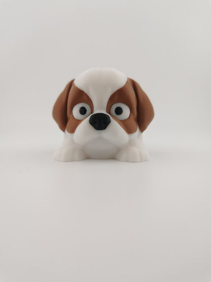 Dog - Shih Tzu