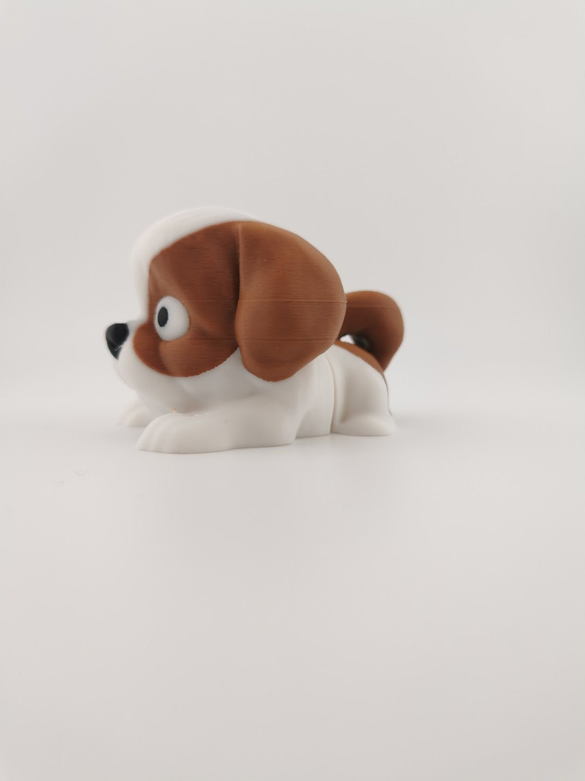 Dog - Shih Tzu