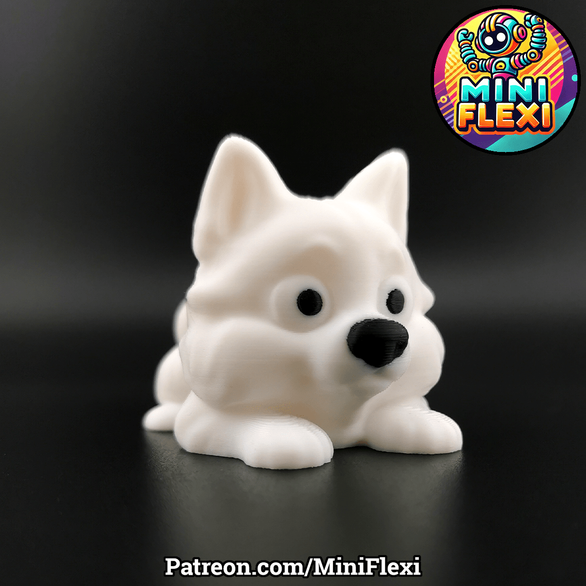 Samoyed