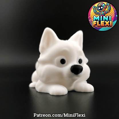 Samoyed