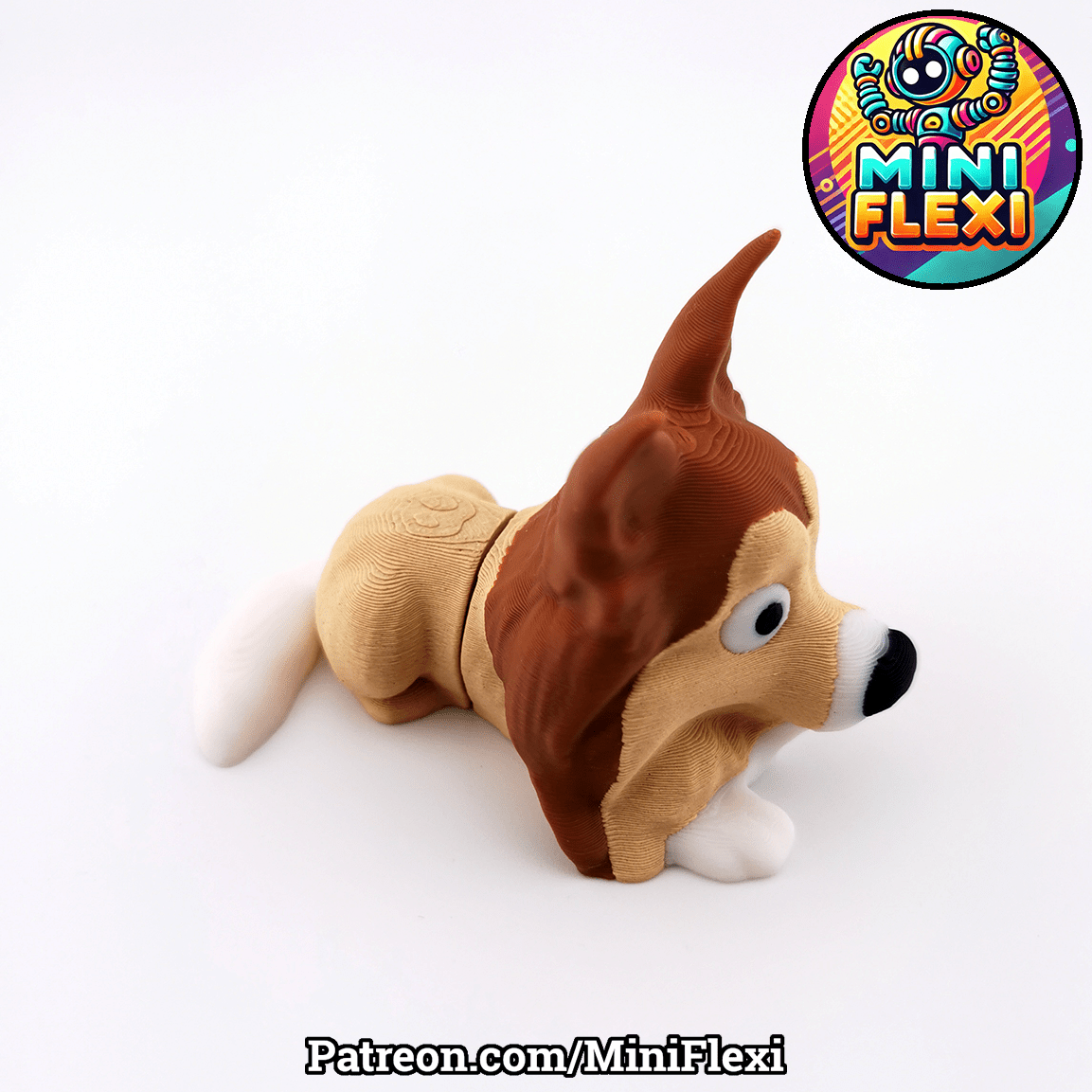 Sheltie Dog