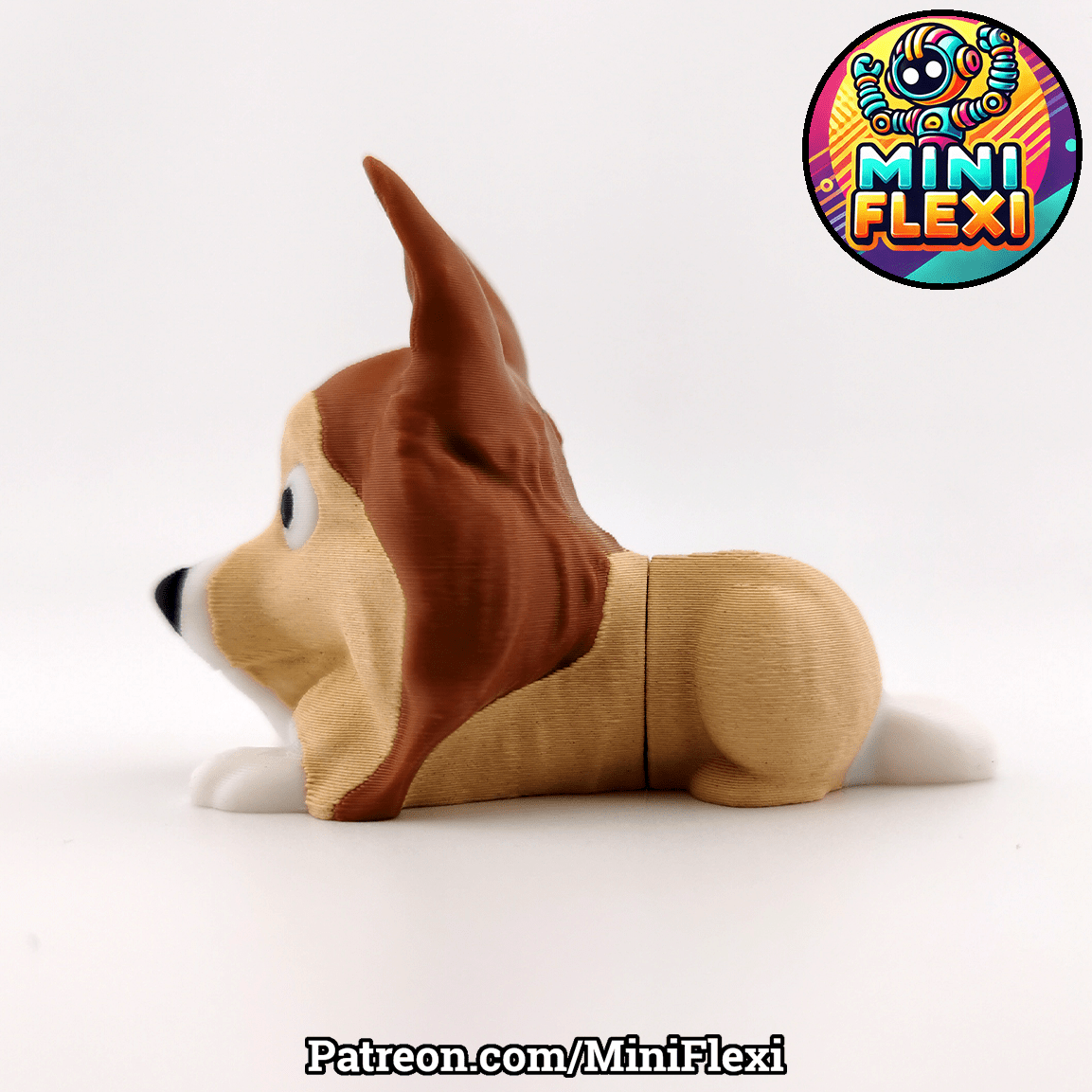 Sheltie Dog