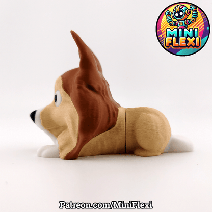 Sheltie Dog