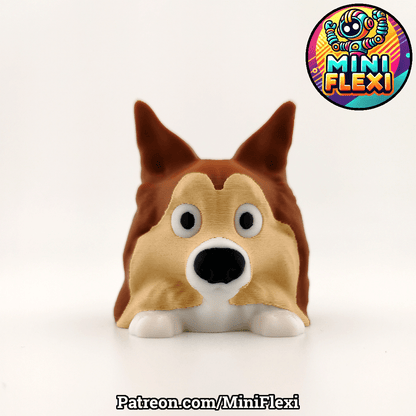 Sheltie Dog