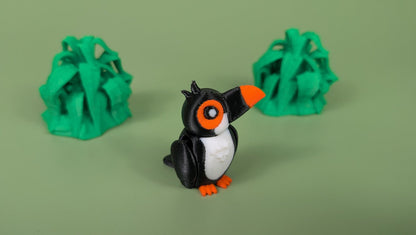 Toucan