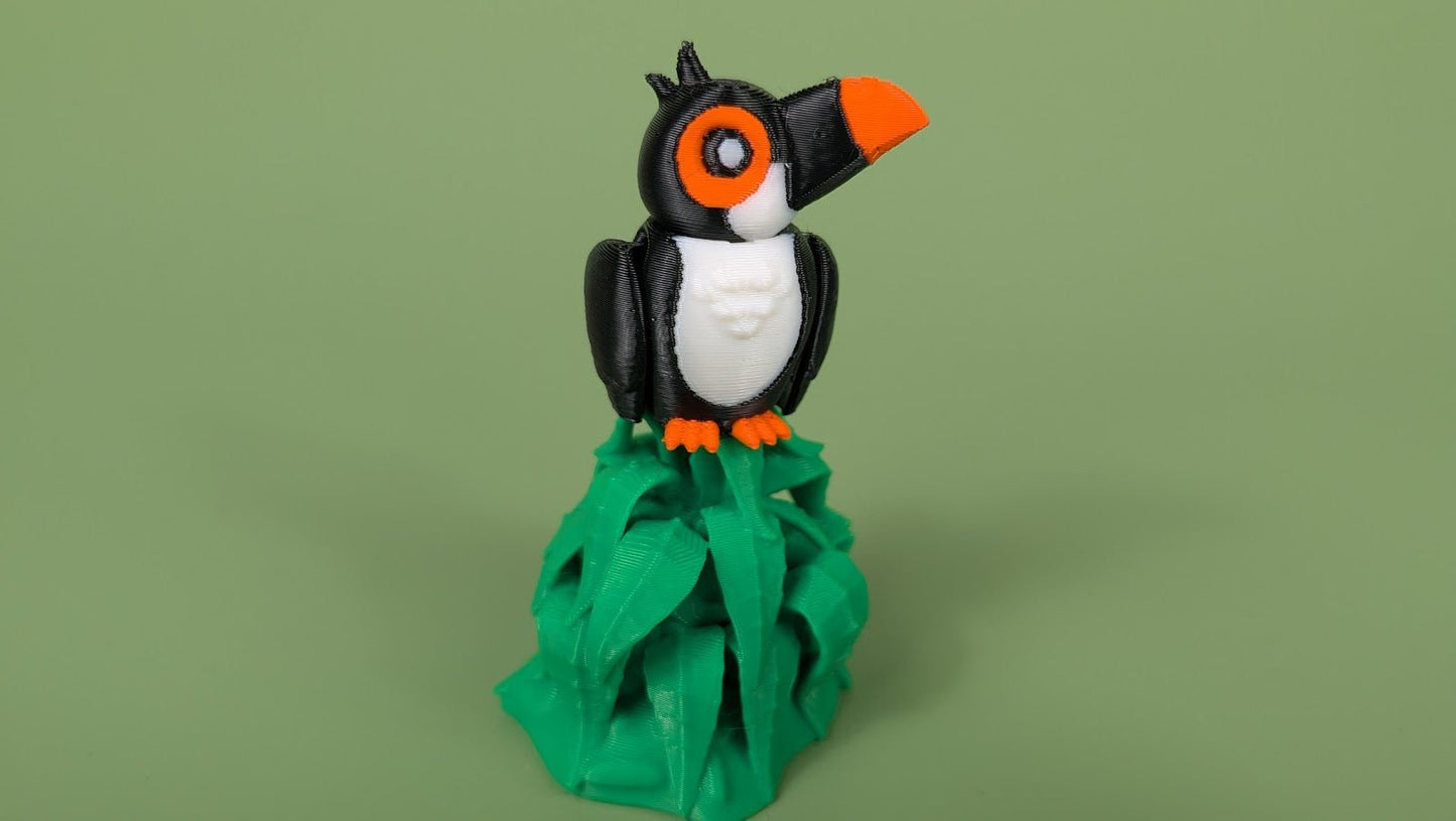 Toucan