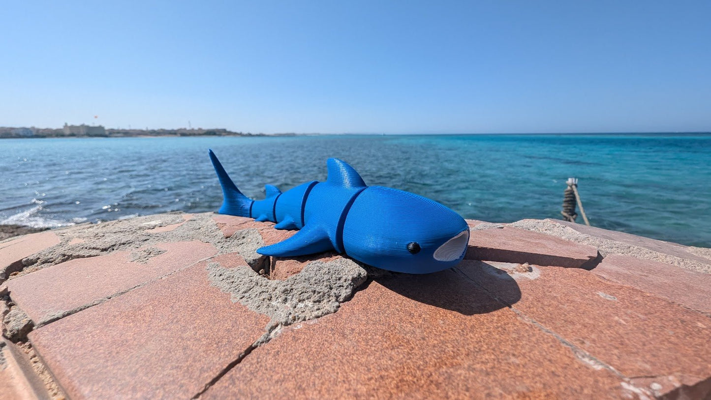 Whale Shark