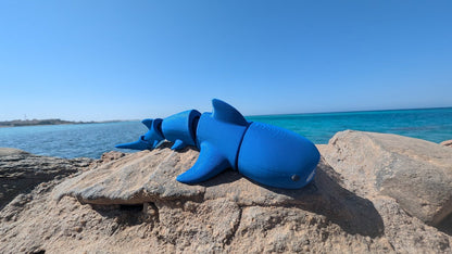 Whale Shark